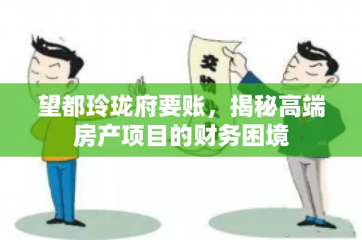 望都玲珑府要账，揭秘高端房产项目的财务困境