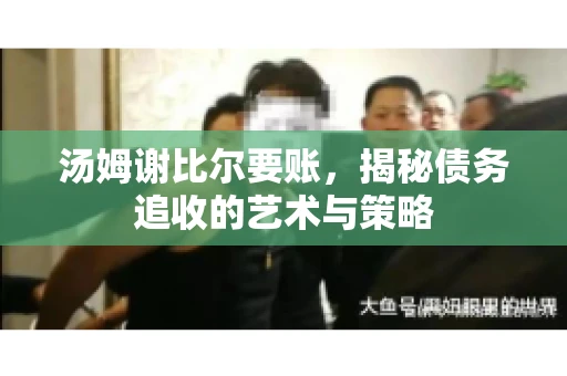 汤姆谢比尔要账，揭秘债务追收的艺术与策略