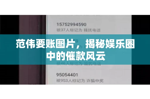 范伟要账图片，揭秘娱乐圈中的催款风云