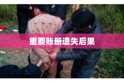 重要账册遗失后果