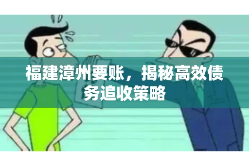 福建漳州要账，揭秘高效债务追收策略