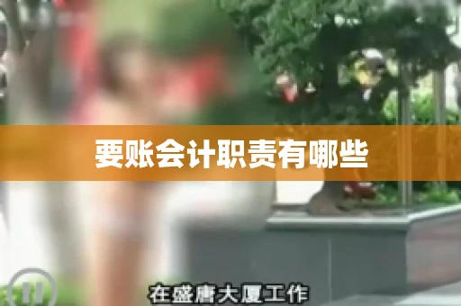 要账会计职责有哪些