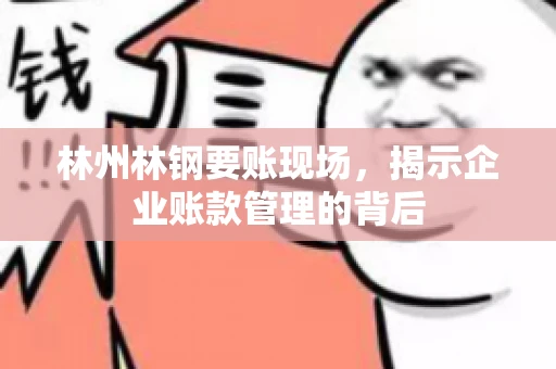 林州林钢要账现场，揭示企业账款管理的背后