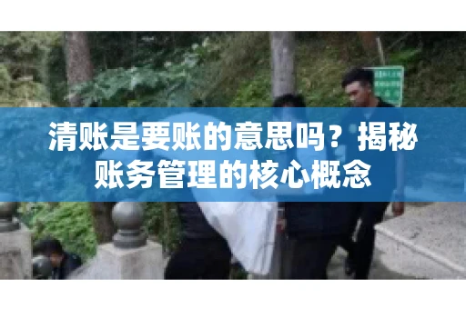 清账是要账的意思吗？揭秘账务管理的核心概念