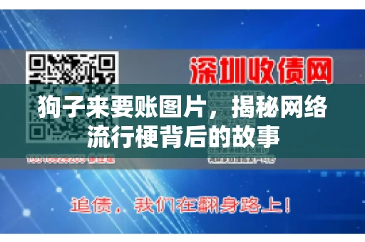 狗子来要账图片，揭秘网络流行梗背后的故事