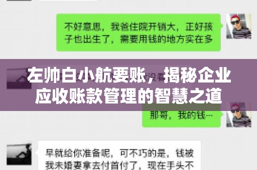 左帅白小航要账，揭秘企业应收账款管理的智慧之道
