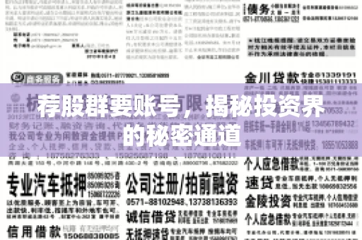 荐股群要账号，揭秘投资界的秘密通道
