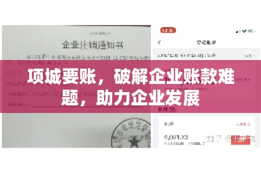 项城要账，破解企业账款难题，助力企业发展