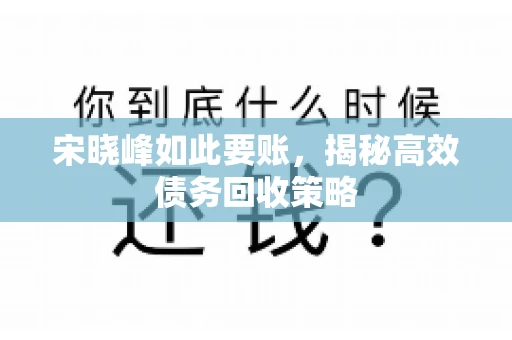 宋晓峰如此要账，揭秘高效债务回收策略