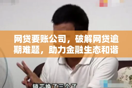 网贷要账公司,破解网贷逾期难题,助力金融生态和谐发展 网贷要账公司,破解网贷逾期难题,助力金融生态和谐发展