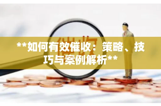 **如何有效催收：策略、技巧与案例解析**