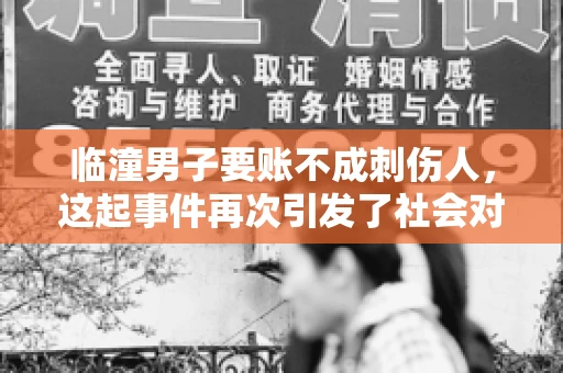 临潼男子要账不成刺伤人，这起事件再次引发了社会对讨债行为的关注。在这个故事中，我们不仅要了解事件的经过，还要思考如何避免类似悲剧的发生。