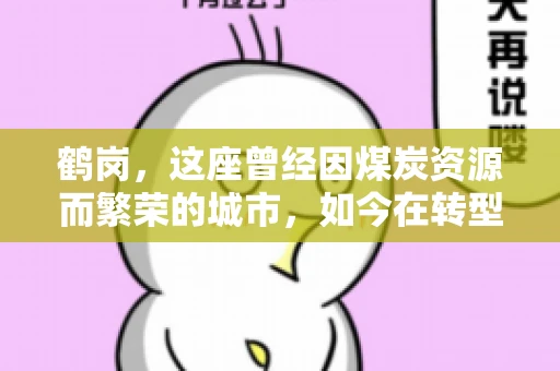 鹤岗，这座曾经因煤炭资源而繁荣的城市，如今在转型中寻求新的发展路径。在这座城市中，有一家名为“鹤岗要账公司”的企业，它以专业的服务，在众多企业中脱颖而出。今天，就让我们一起来了解一下这家公司，看看它是如何在这个充满挑战的市场中立足的。