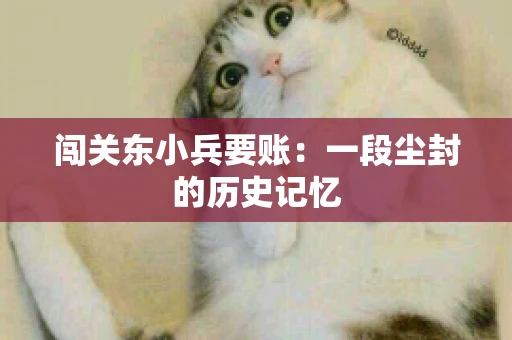 闯关东小兵要账：一段尘封的历史记忆