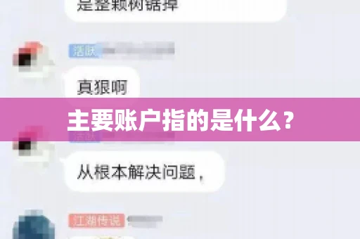 主要账户指的是什么？