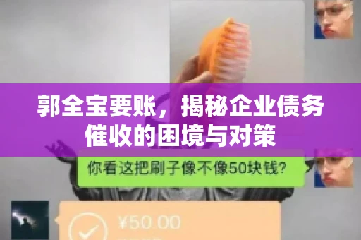 郭全宝要账，揭秘企业债务催收的困境与对策