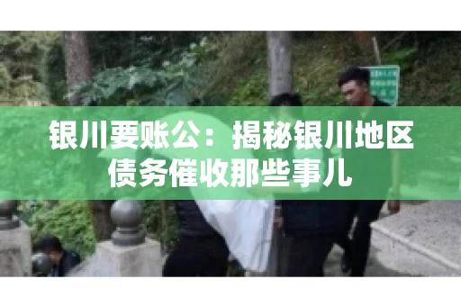 银川要账公：揭秘银川地区债务催收那些事儿