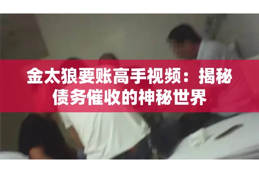 金太狼要账高手视频：揭秘债务催收的神秘世界