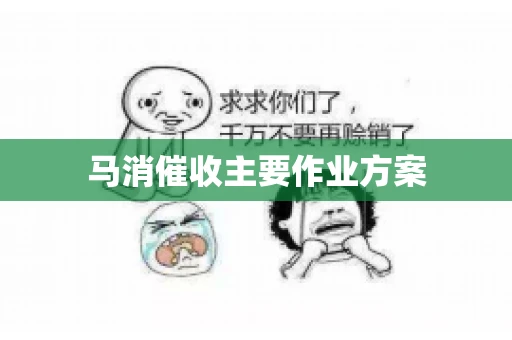 马消催收主要作业方案