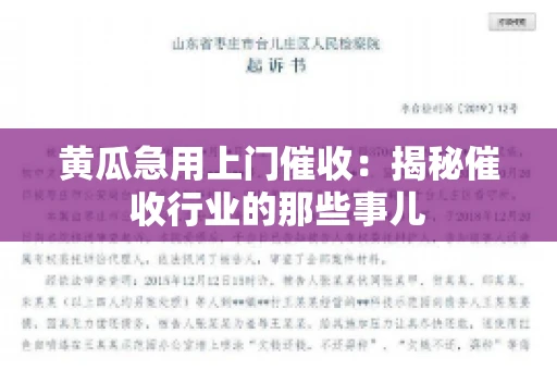 黄瓜急用上门催收：揭秘催收行业的那些事儿