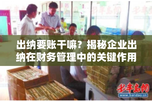 出纳要账干嘛？揭秘企业出纳在财务管理中的关键作用