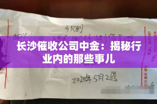 长沙催收公司中金：揭秘行业内的那些事儿