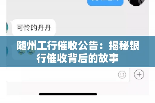 随州工行催收公告：揭秘银行催收背后的故事